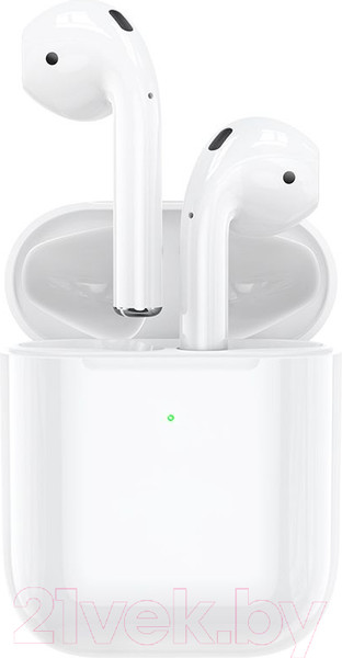 Изображение товара Беспроводные наушники Hoco EW45 (бежевый кот)