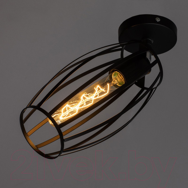 Изображение товара Спот BayerLux Овал / 9951754 (черный)