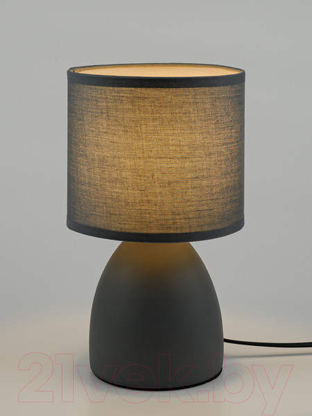 Изображение товара Прикроватная лампа ArtStyle HT-511GYGY (серый/серый)