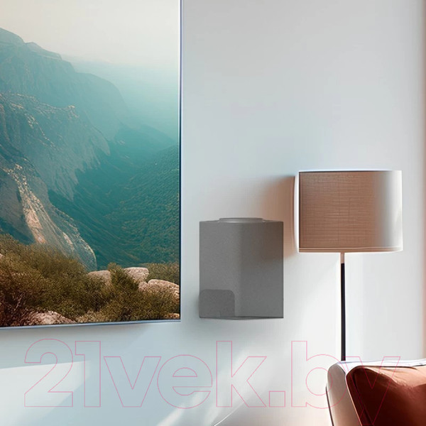 Изображение товара Кронштейн под аппаратуру Rexant Для Яндекс Станции 38-0623