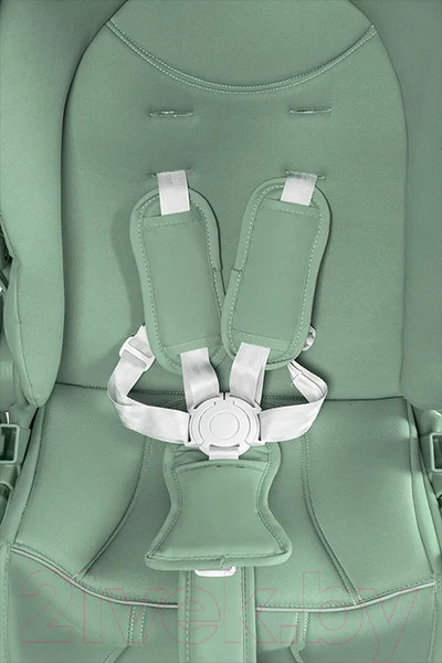 Изображение товара Детская прогулочная коляска Farfello Fest Lux / FL-13 (зеленый)