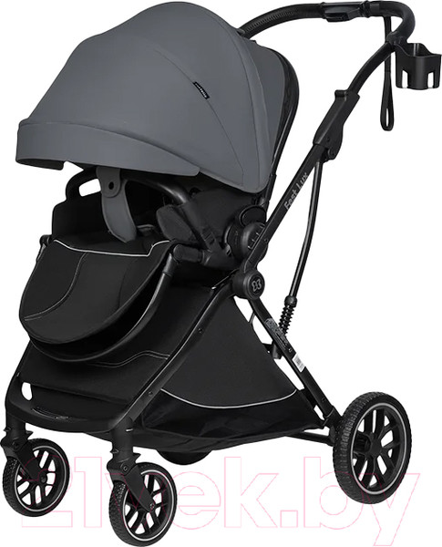 Изображение товара Детская прогулочная коляска Farfello Fest Lux / FL-11 (темно-серый)