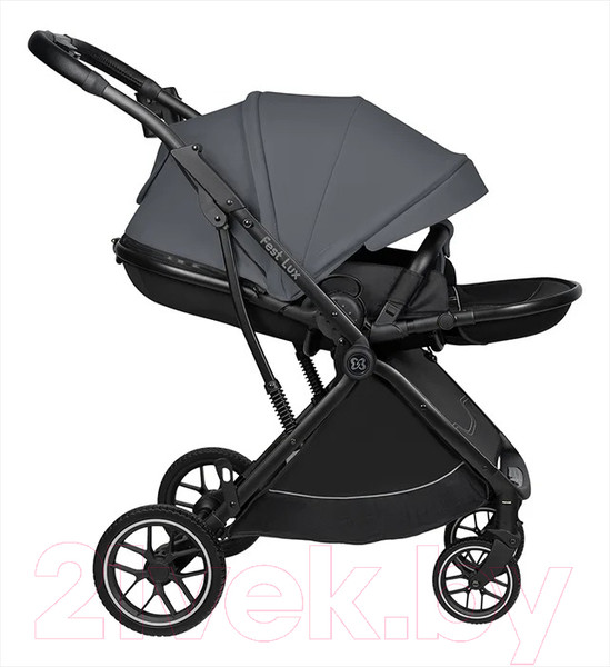 Изображение товара Детская прогулочная коляска Farfello Fest Lux / FL-11 (темно-серый)