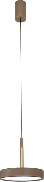 Изображение товара Потолочный светильник FAVOURITE 4509-1P