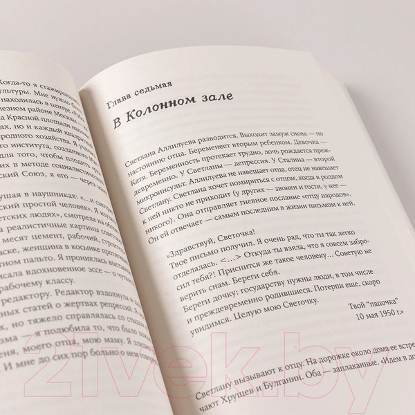 Изображение товара Книга Альпина Письма к отцу / 9785002232444 (Климова Т.)