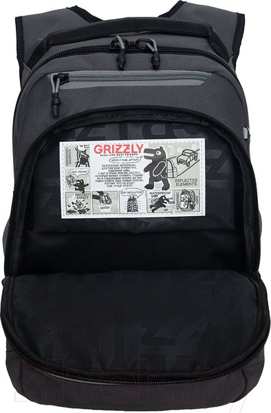 Изображение товара Школьный рюкзак Grizzly RB-450-3 (серый)