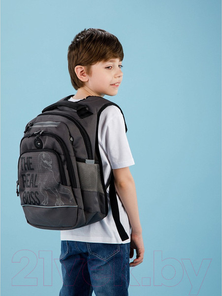 Изображение товара Школьный рюкзак Grizzly RB-450-3 (серый)