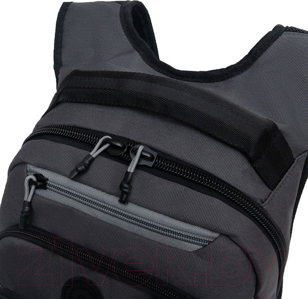 Изображение товара Школьный рюкзак Grizzly RB-450-3 (серый)