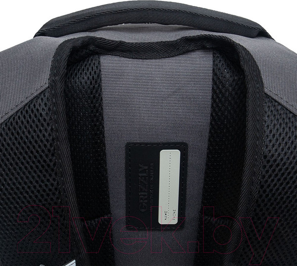 Изображение товара Школьный рюкзак Grizzly RB-450-3 (серый)