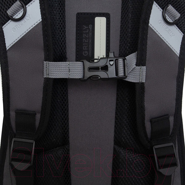 Изображение товара Школьный рюкзак Grizzly RB-450-3 (серый)