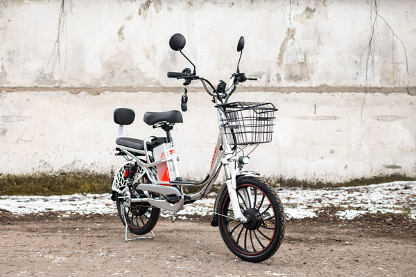 Изображение товара Электровелосипед AVM E-ALFA 20 Pro (серебристый)