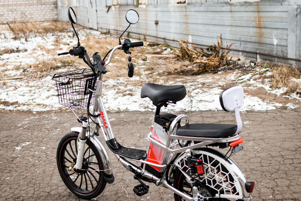 Изображение товара Электровелосипед AVM E-ALFA 20 Pro (серебристый)