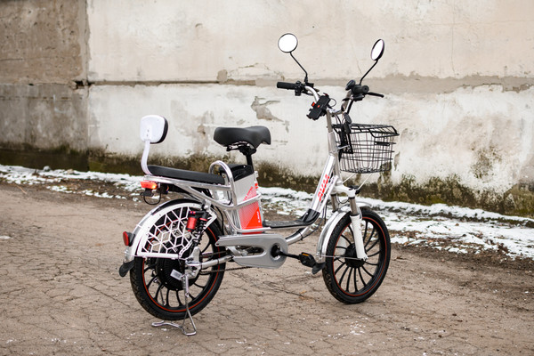 Изображение товара Электровелосипед AVM E-ALFA 20 Pro (серебристый)