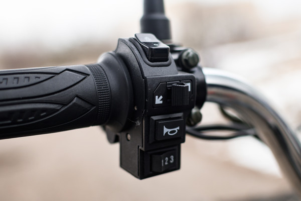 Изображение товара Электровелосипед AVM E-ALFA 20 Pro (серебристый)