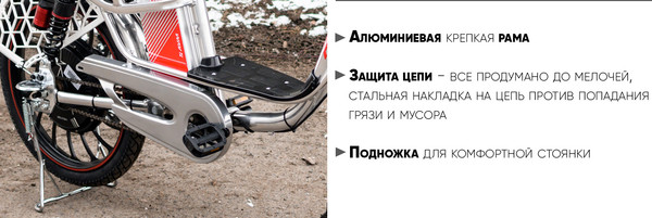 Изображение товара Электровелосипед AVM E-ALFA 20 Pro (серебристый)