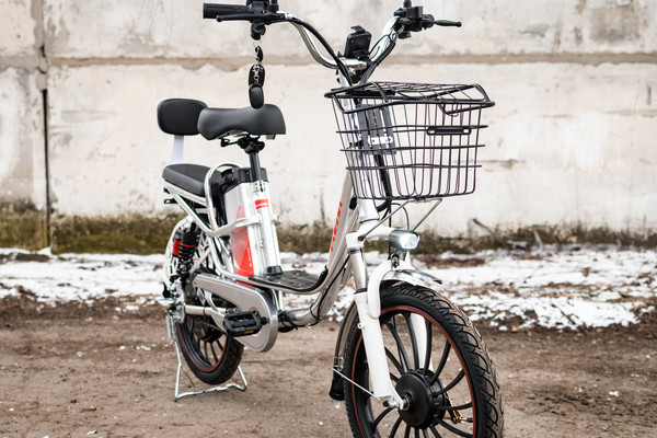 Изображение товара Электровелосипед AVM E-ALFA 20 Pro (серебристый)