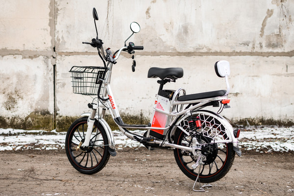 Изображение товара Электровелосипед AVM E-ALFA 20 Pro (серебристый)