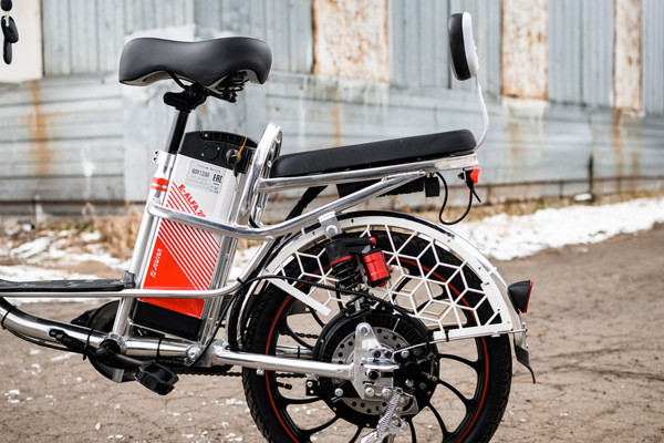 Изображение товара Электровелосипед AVM E-ALFA 20 Pro (серебристый)