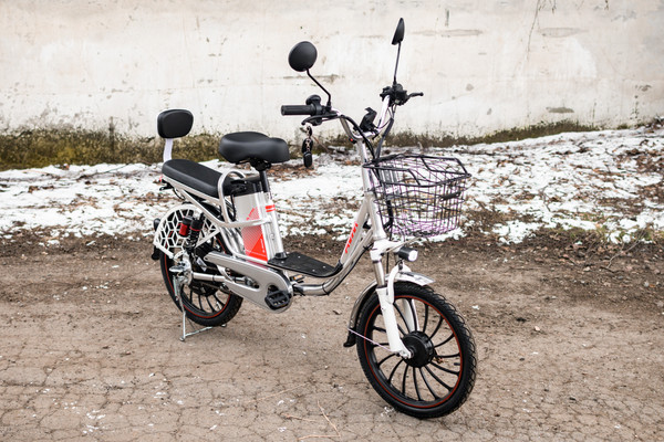 Изображение товара Электровелосипед AVM E-ALFA 20 Pro (серебристый)