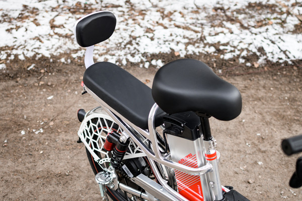 Изображение товара Электровелосипед AVM E-ALFA 20 Pro (серебристый)