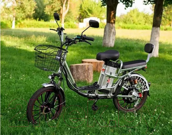 Изображение товара Электровелосипед AVM E-ALFA 20 Pro (серебристый)