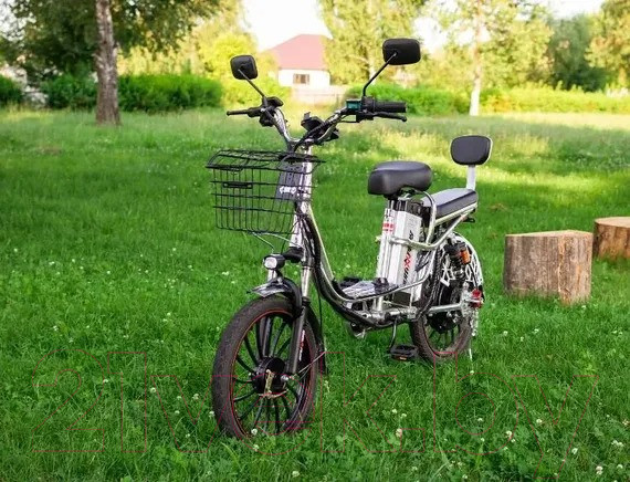 Изображение товара Электровелосипед AVM E-ALFA 20 Pro (серебристый)