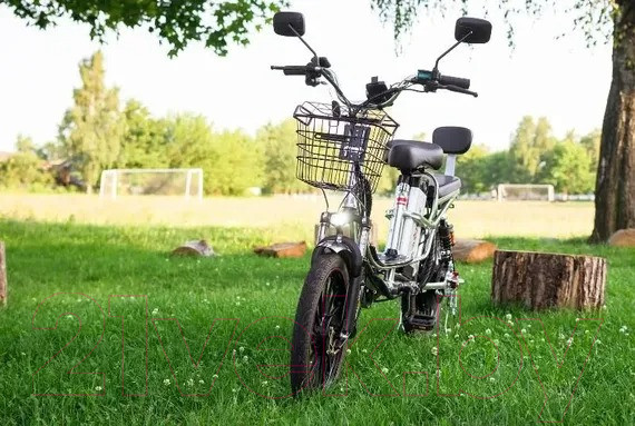 Изображение товара Электровелосипед AVM E-ALFA 20 Pro (серебристый)