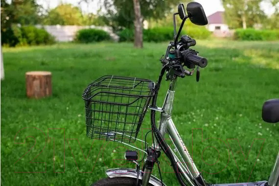 Изображение товара Электровелосипед AVM E-ALFA 20 Pro (серебристый)