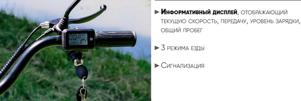 Изображение товара Электровелосипед AVM E-ALFA 20 Pro (черный)