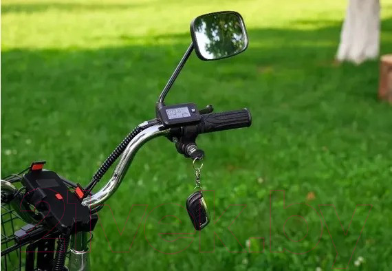 Изображение товара Электровелосипед AVM E-ALFA 20 Pro (черный)