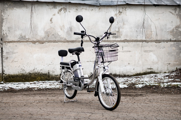 Изображение товара Электровелосипед AVM E-ALFA 20