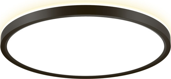 Изображение товара Потолочный светильник Citilux Norma CL748321