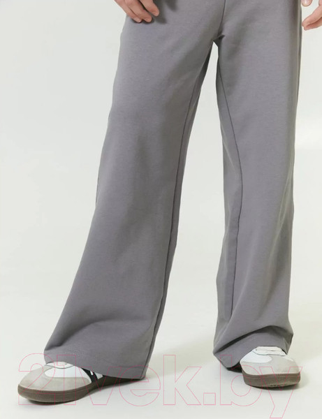 Изображение товара Штаны детские Amarobaby Twice / AB-OD24-T6/11-134 (серый, р.134)