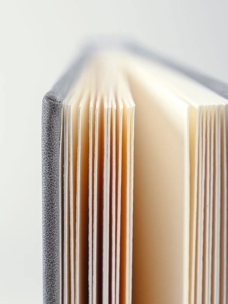 Изображение товара Скетчбук Малевичъ Veroneze / 401548 (20л, серый)