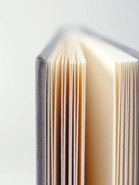 Изображение товара Скетчбук Малевичъ Veroneze / 401549 (20л, серый)