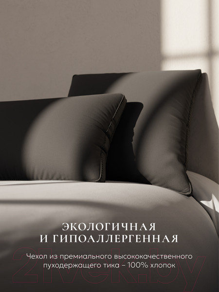 Изображение товара Подушка для сна Espera Comfort Graphite 3D ЕС-5957 (40x60)