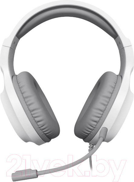 Изображение товара Наушники-гарнитура Defender Fury / 64480