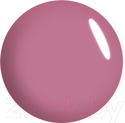 Изображение товара Блеск для губ Relouis Paradiso с влажным финишем тон 10