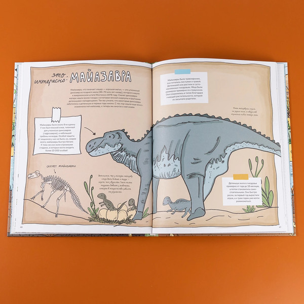 Изображение товара Книга Альпина Камни и кости (Уилшоу Роб, Уильямс Софи)