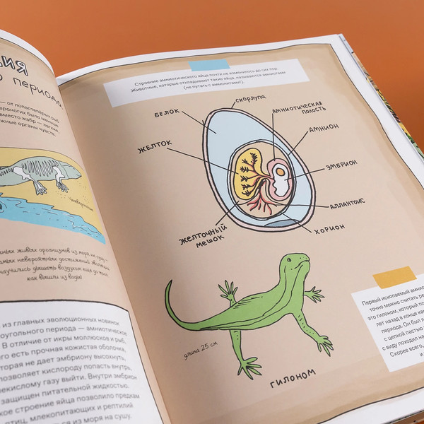 Изображение товара Книга Альпина Камни и кости (Уилшоу Роб, Уильямс Софи)