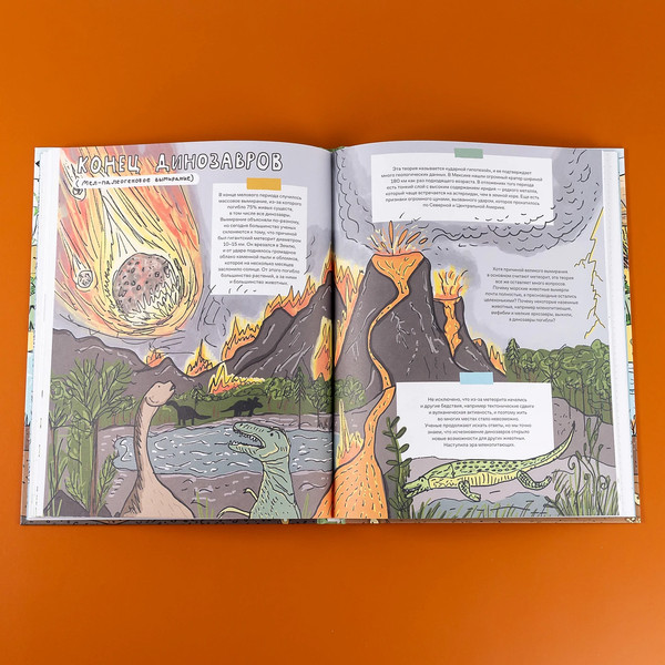 Изображение товара Книга Альпина Камни и кости (Уилшоу Роб, Уильямс Софи)