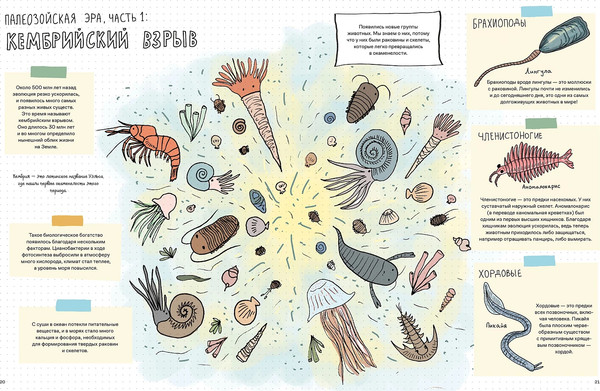 Изображение товара Книга Альпина Камни и кости (Уилшоу Роб, Уильямс Софи)