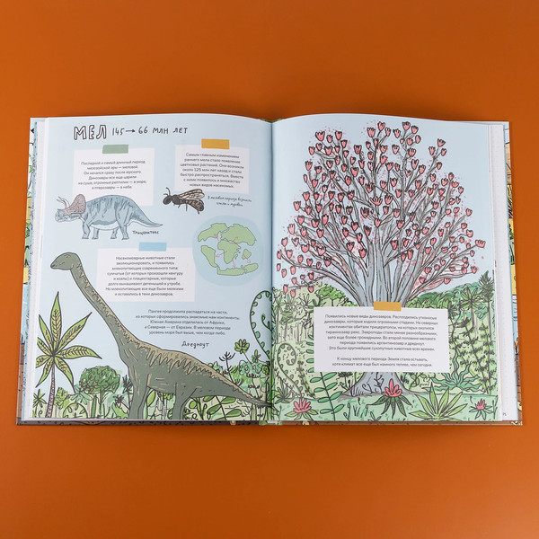 Изображение товара Книга Альпина Камни и кости (Уилшоу Роб, Уильямс Софи)