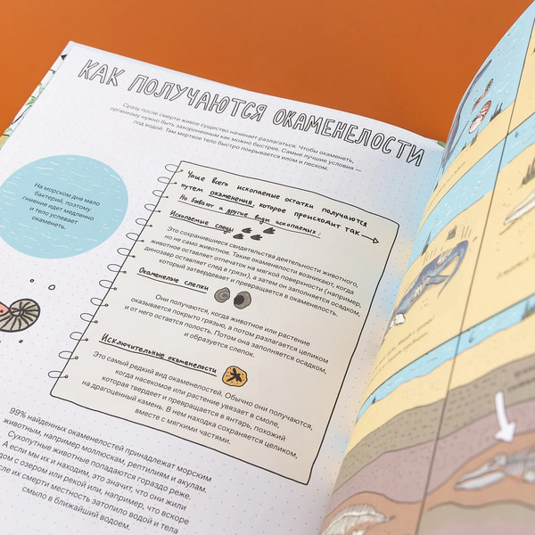 Изображение товара Книга Альпина Камни и кости (Уилшоу Роб, Уильямс Софи)