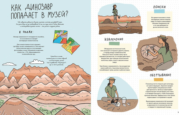 Изображение товара Книга Альпина Камни и кости (Уилшоу Роб, Уильямс Софи)