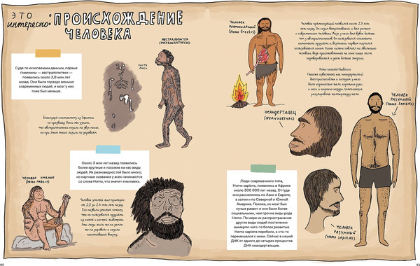 Изображение товара Книга Альпина Камни и кости (Уилшоу Роб, Уильямс Софи)