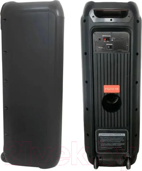 Изображение товара Портативная колонка Feiyang FG210-13