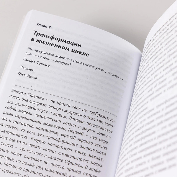 Изображение товара Книга Альпина Пройти через. Мягкая обложка (Бриджес У., Бриджес С.)