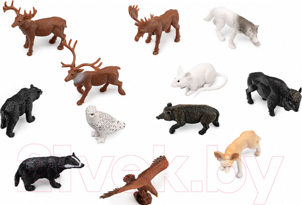 Изображение товара Набор фигурок коллекционных Konik Wildlife Лесные животные / AMW2141