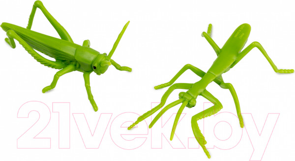 Изображение товара Набор фигурок коллекционных Konik Wildlife Насекомые Пауки / AMW2143